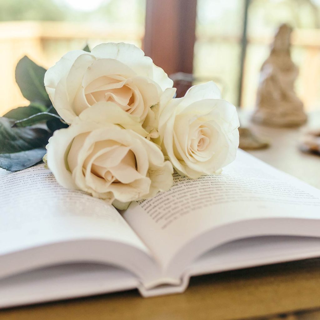 White roses on top of an open book